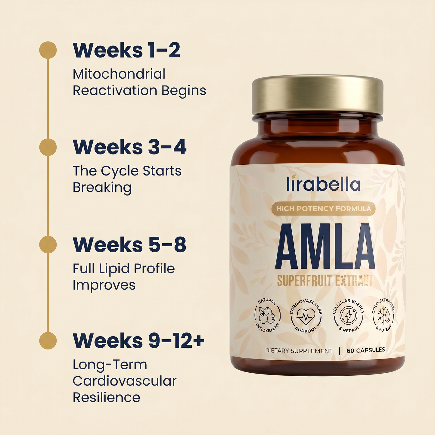 Amla Superfruit Capsules