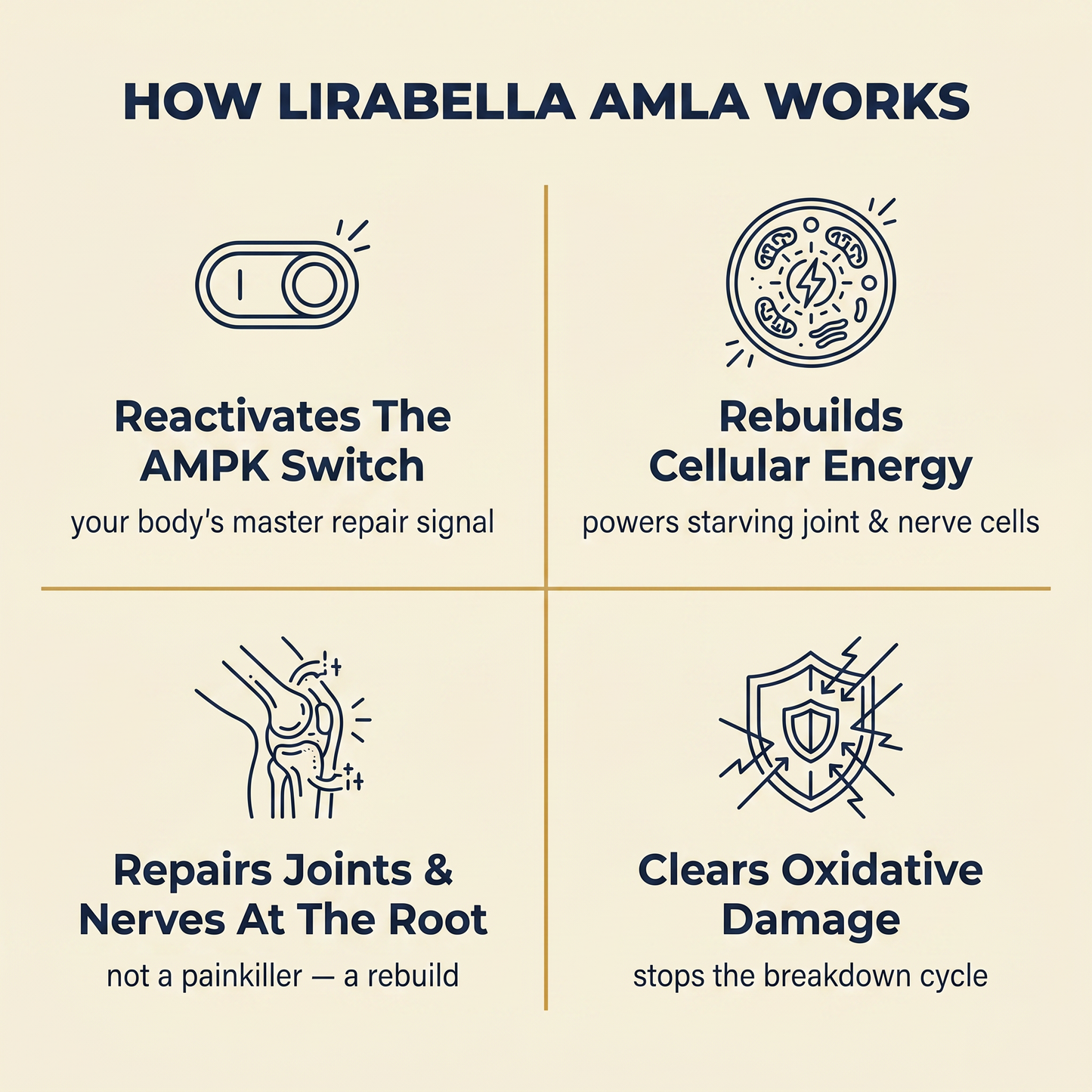 Amla Superfruit Capsules