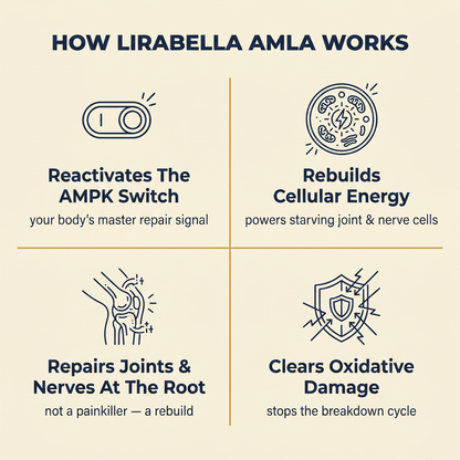 Amla Superfruit Capsules
