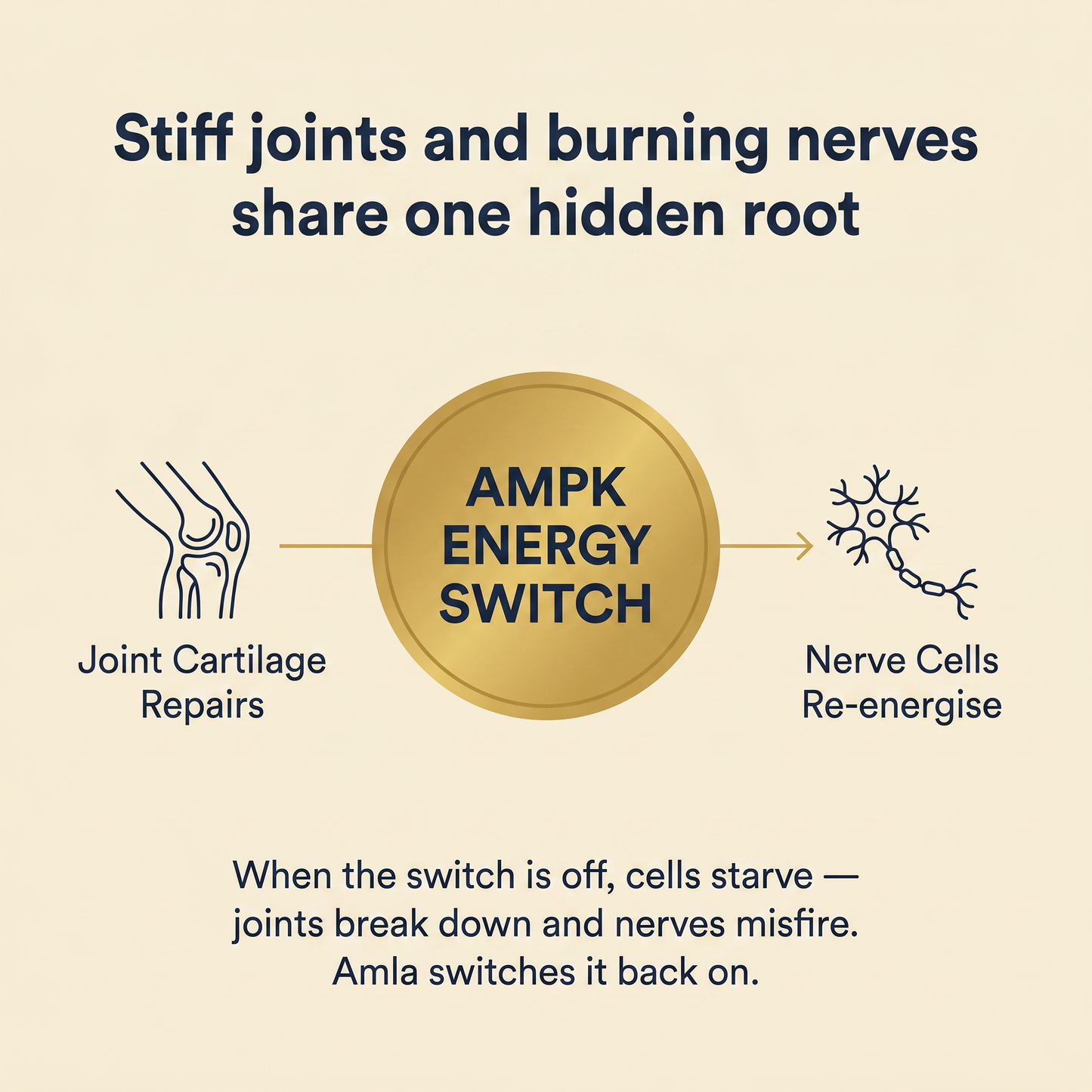 Amla Superfruit Capsules